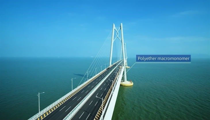 TPEG 2400 62601-60-9